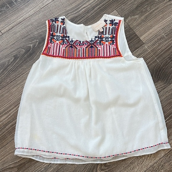 Skies are Blue Gari Embroidery Top - Picture 12 of 13